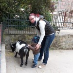 2016-05-14 16.23.06-1