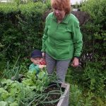 2017-05-25 10.39.23-2